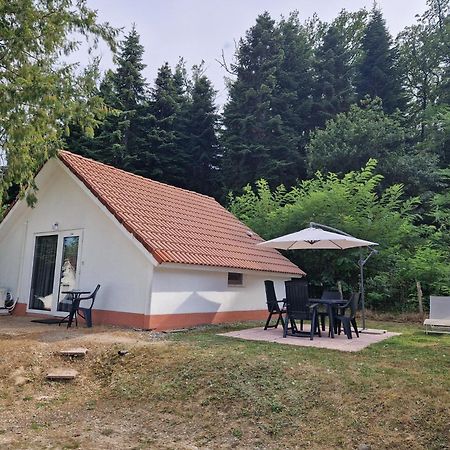 Mon Chalet En Ariege Avec Piscine Daumazan-sur-Arize Esterno foto