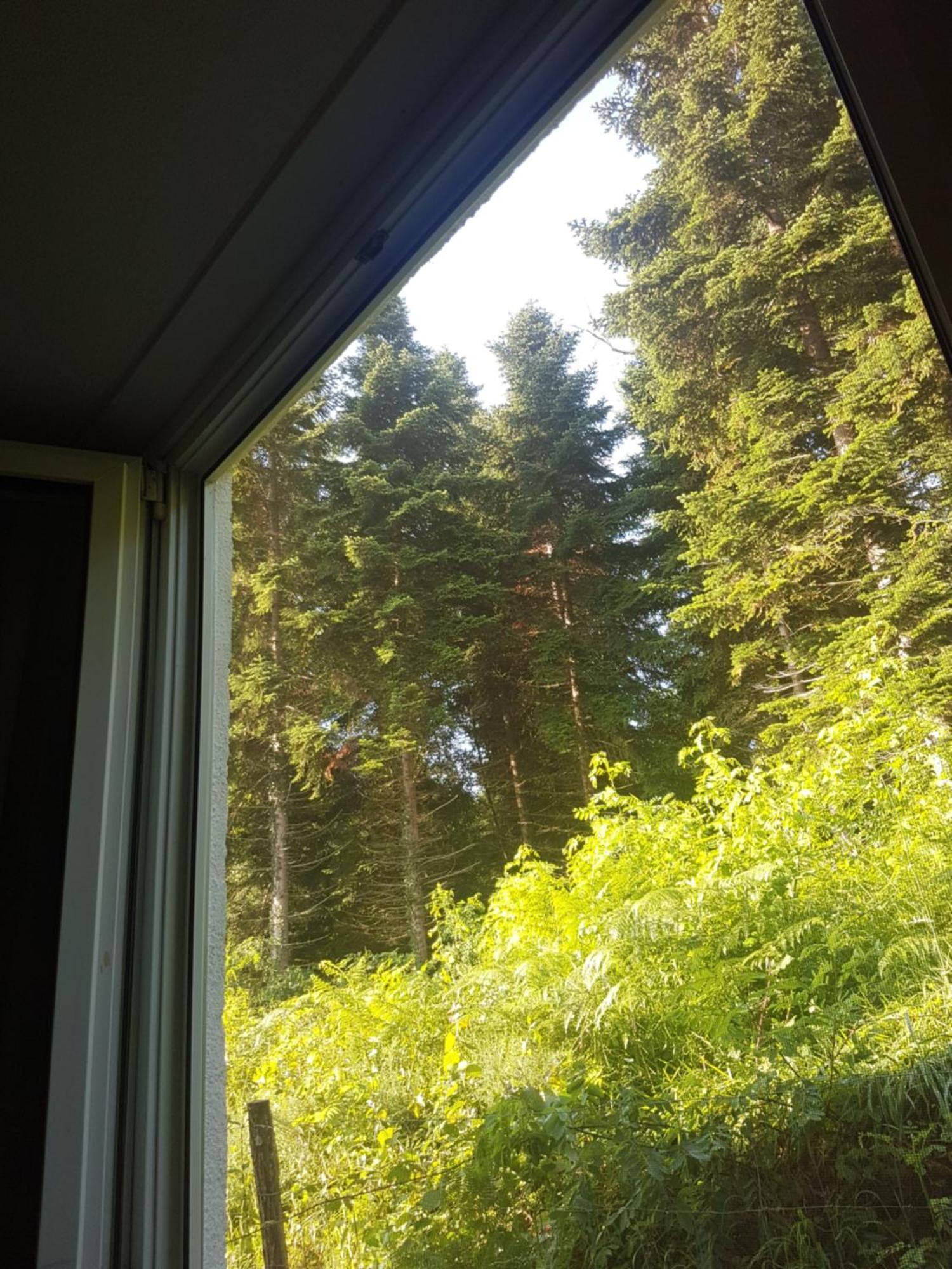 Mon Chalet En Ariege Avec Piscine Daumazan-sur-Arize Esterno foto
